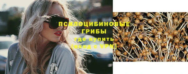 гидропоника Алзамай